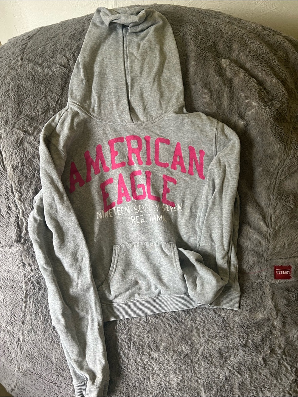 Vintage American Eagle Outfitters Gray Hoodie with Pink Logo